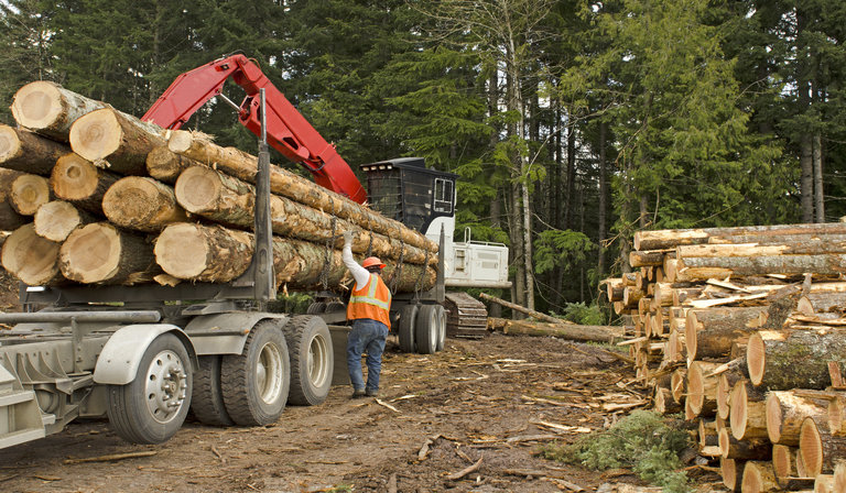 Cutting Through The Competition With Automated Forestry Operations 